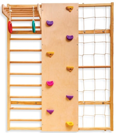 Wall Mounted Jungle Gym